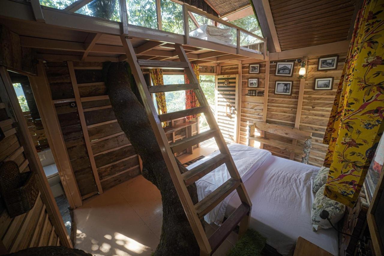 تشاكراتا Tiger Fall Eco Resort المظهر الخارجي الصورة