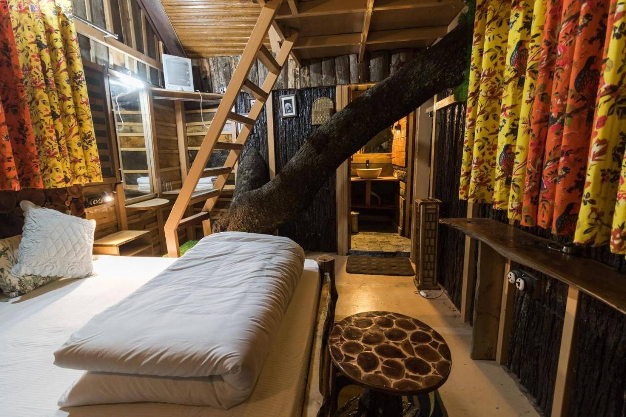 تشاكراتا Tiger Fall Eco Resort المظهر الخارجي الصورة